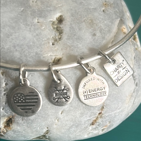 Alex and Ani Silver Tone Paw Print Medallion Charm Adjustable Wire Bracelet - Picture 5 of 6
